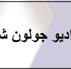 "	راديو جولون RX-730"