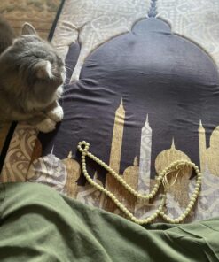 1cb52deb 7174 40be bb6f 827ca5645906